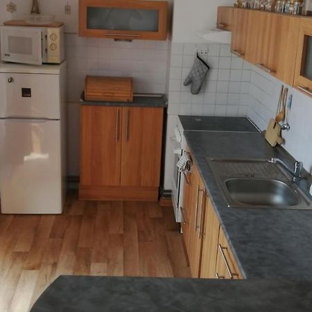 Plne Vybaveny 2+1Byt S Balkonem A Koji Pro Kola A Lyze. Рокітніце-в-Орліцких-горах Екстер'єр фото
